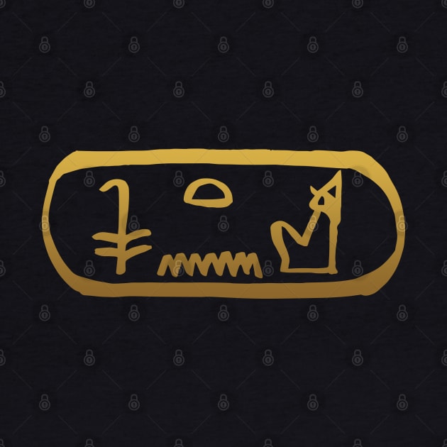 King in Ancient Egyptian Hieroglyphics. by hybridgothica